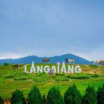 Vẻ đẹp núi Lang Biang thơ mộng và nguyên sơ của Lâm Đông