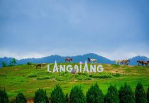 Vẻ đẹp núi Lang Biang thơ mộng và nguyên sơ của Lâm Đông